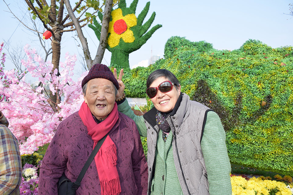 開(kāi)發(fā)區(qū)能達(dá)公園賞菊 